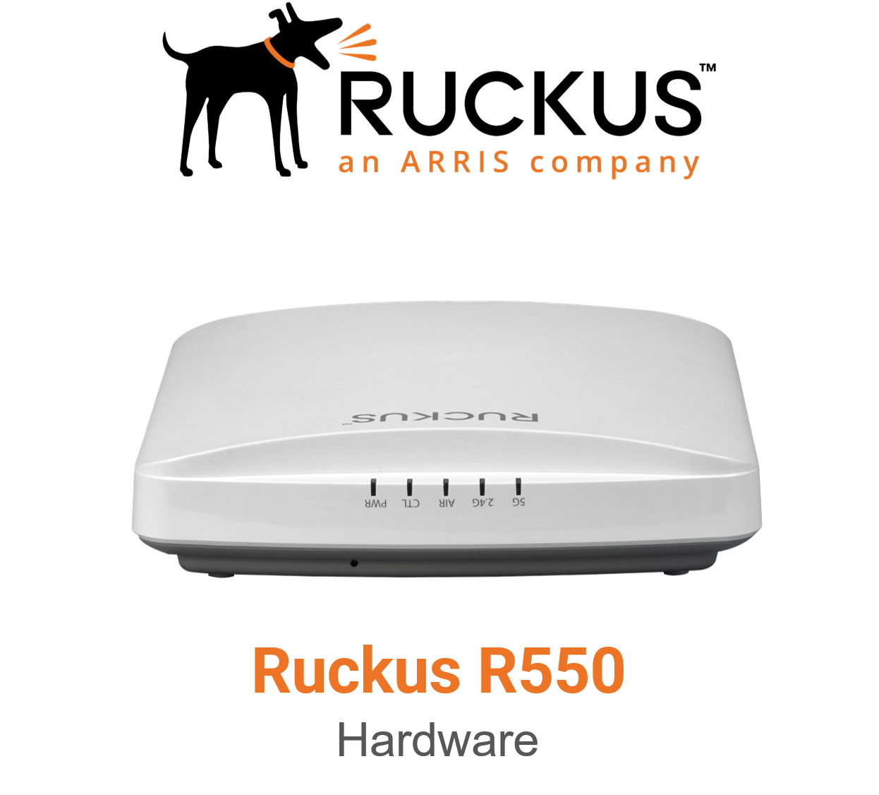 Ruckus Networks Ruckus R550